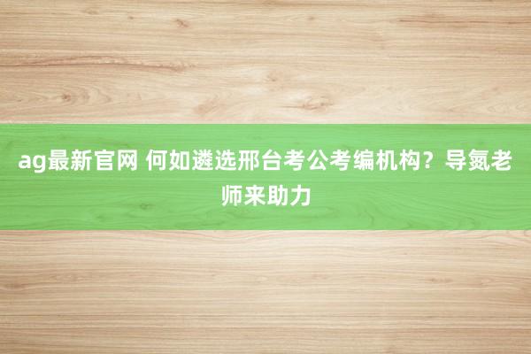 ag最新官网 何如遴选邢台考公考编机构？导氮老师来助力