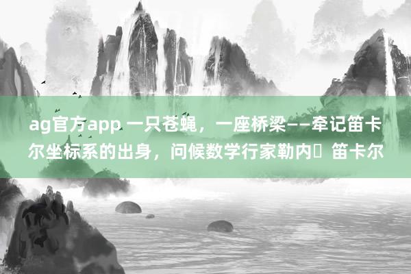 ag官方app 一只苍蝇，一座桥梁——牵记笛卡尔坐标系的出身，问候数学行家勒内・笛卡尔