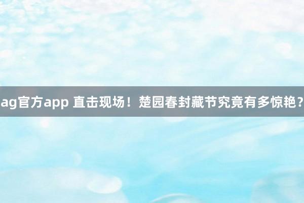 ag官方app 直击现场！楚园春封藏节究竟有多惊艳？