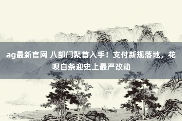 ag最新官网 八部门聚首入手！支付新规落地，花呗白条迎史上最严改动