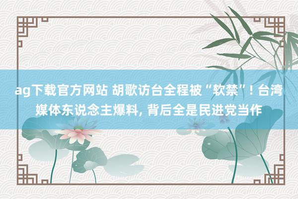 ag下载官方网站 胡歌访台全程被“软禁”! 台湾媒体东说念主爆料, 背后全是民进党当作