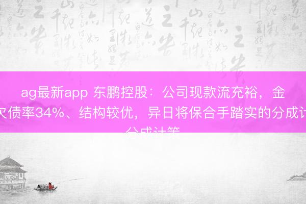 ag最新app 东鹏控股：公司现款流充裕，金钱欠债率34%、结构较优，异日将保合手踏实的分成计策