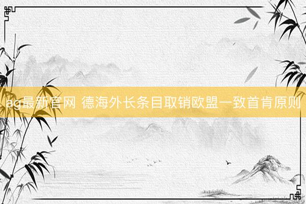 ag最新官网 德海外长条目取销欧盟一致首肯原则